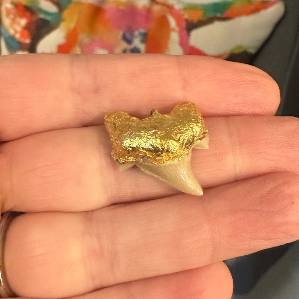 Shark tooth pendant